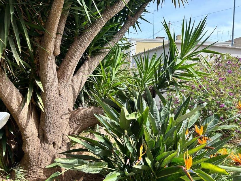 Апартаменты Giardino A Mare Бари Экстерьер фото