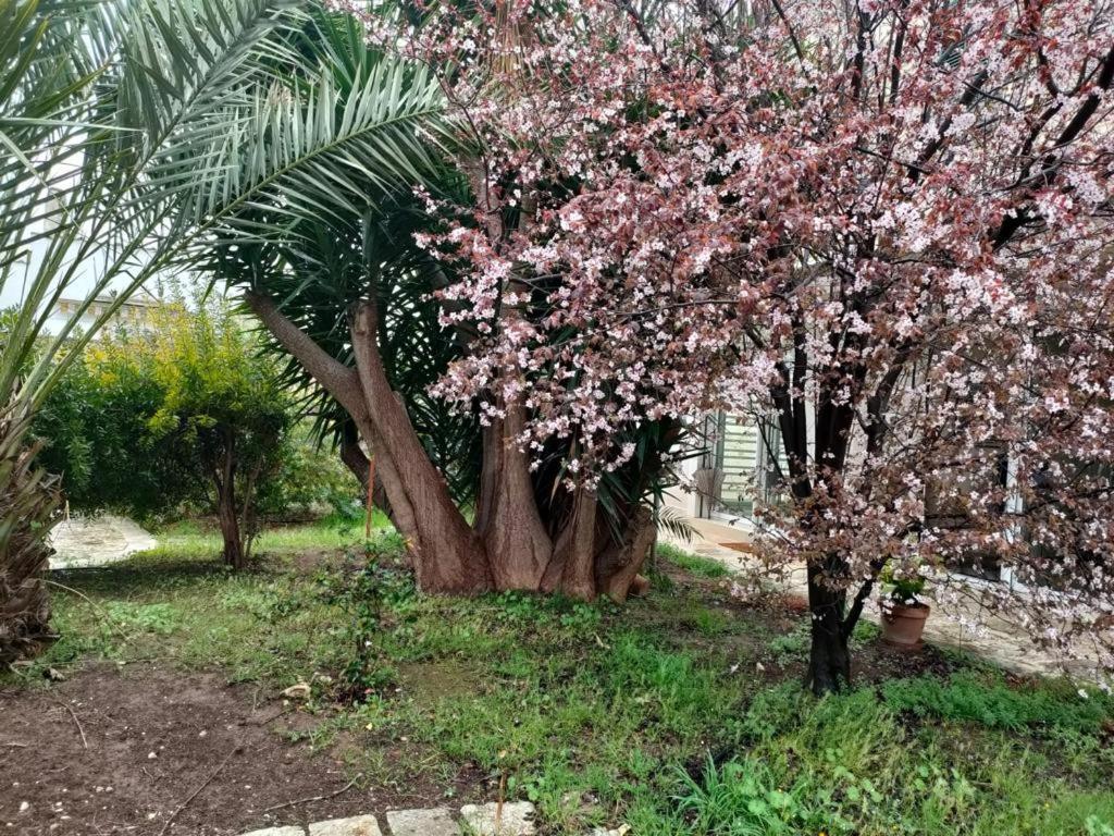 Апартаменты Giardino A Mare Бари Экстерьер фото